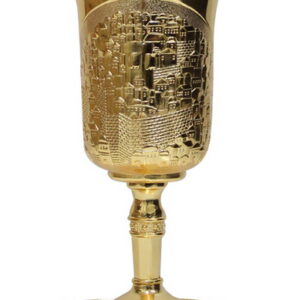 גביע זהב אליהו גל ירושלים 24.5*15.5