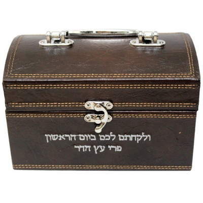 קופסא לאתרוג דמוי עור עם רקמה 12x18.5 ס"מ