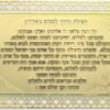 סגולה מפוארת לטסים באווירון