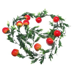 שרשרת עלים +10 תפוחים בקופסא PVC מהודרת  1001336