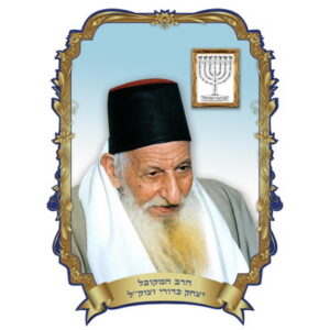  פלקט תלת מימד 3550 ס"מ הרב כדורי  1003268